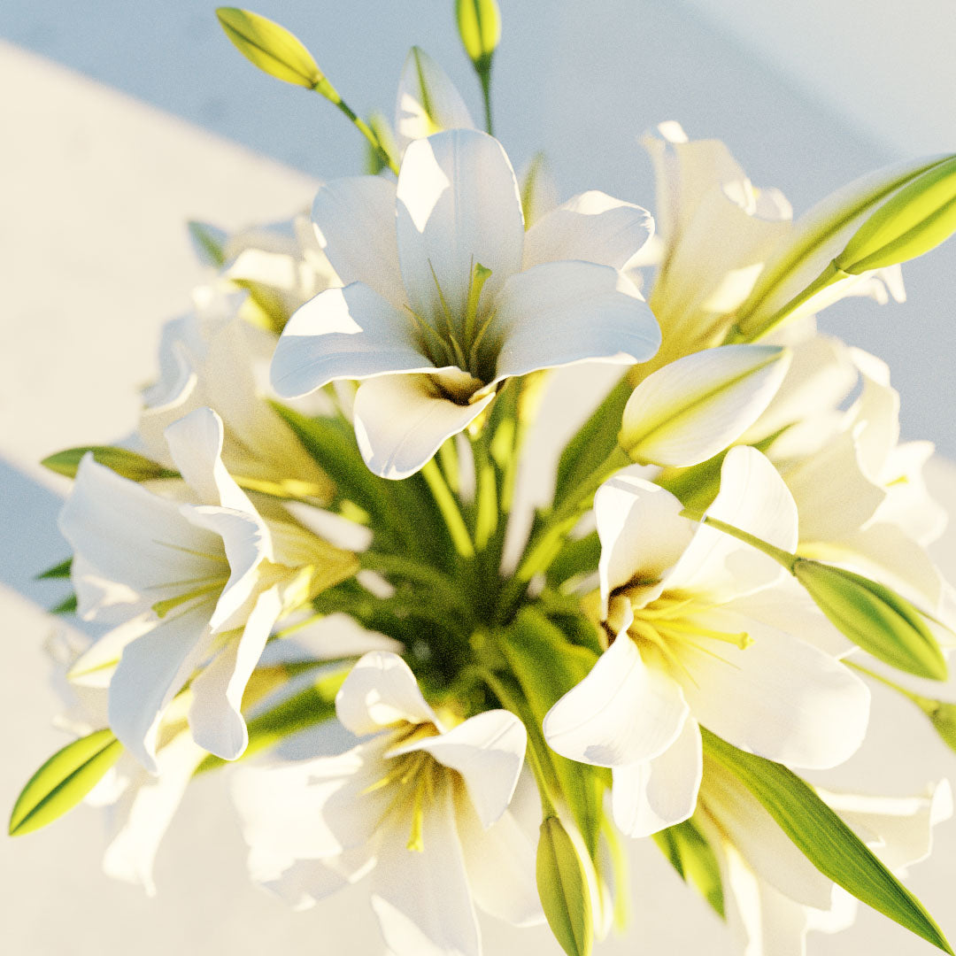 artisan lily flower LILLIES – LABORYNTHIA